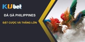 Cơ hội lớn với đá gà Philippines trên Kubet: Đặt cược và thắng lớn