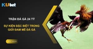 Khám phá trận đá gà 24 tỷ tại Kubet - Sự kiện đặc biệt trong giới đam mê đá gà