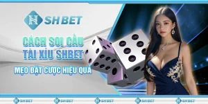 Cách soi cầu tài xỉu