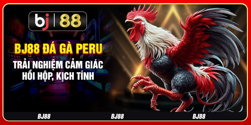 Bj88 Đá Gà Peru - Trải Nghiệm Cảm Giác Hồi Hộp, Kịch Tính