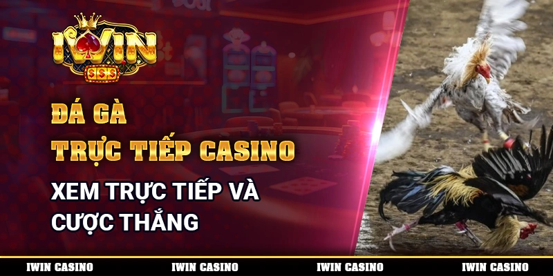 Đá Gà Trực Tiếp Casino - Xem Trực Tiếp Và Cược Thắng